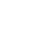 33r icon