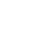 33r icon