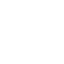 33r icon