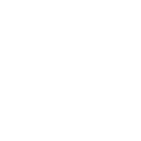 33r icon