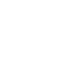 33r icon