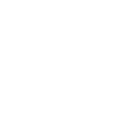 33r icon