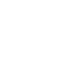 33r icon